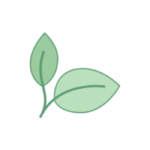 Green leaf icon
